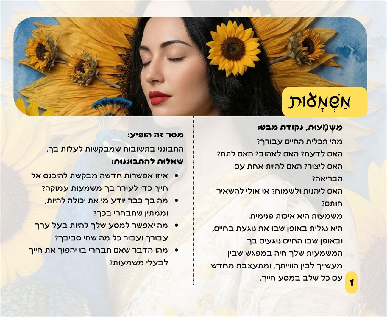 העמוד של משמעות בחוברת: נקודת מבט, מסר זה הופיע, ושאלות להתבוננות