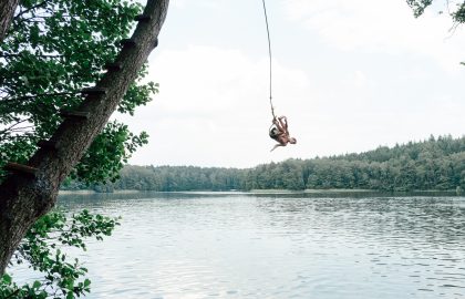 אינסטינקטים
