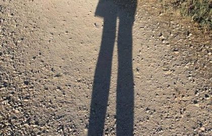 קריירה עבודה – ורד שני בטש