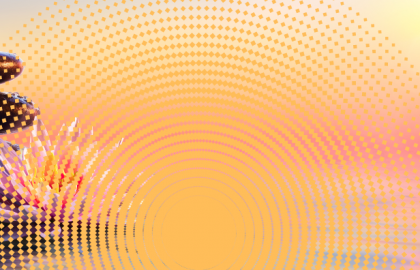 גבולות הקיום – ורד שני בטש