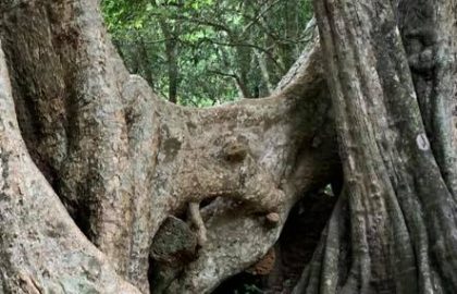 היקום והקיום