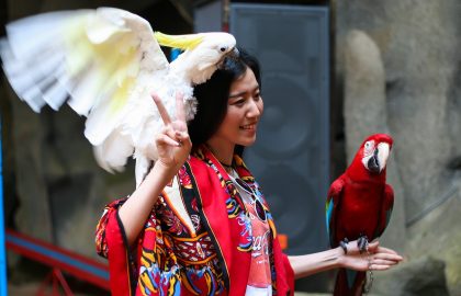 בקשר בין קריירה ללהטוטנות