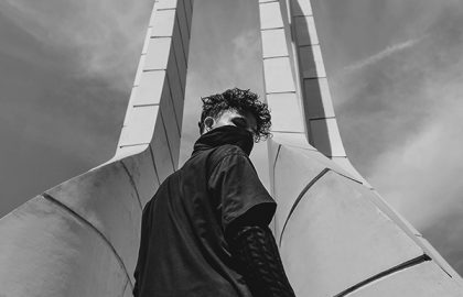 fight, freeze, flight – ורד שני בטש